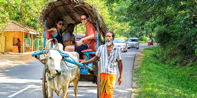 Traditional Village Tours